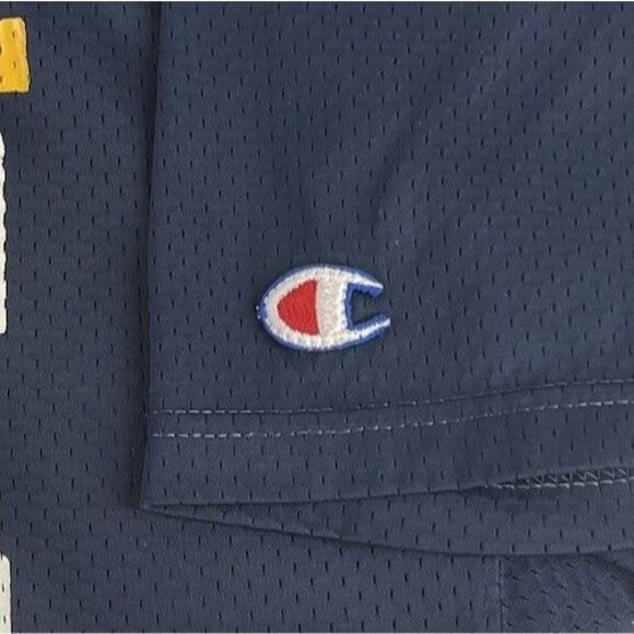 Vintage 90s Champion Mesh Football Jersey Notre Dame Fighting Irish Sz Large #25 - Picture 5 of 8